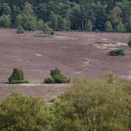 Apartmán / Wahlers Bispingen