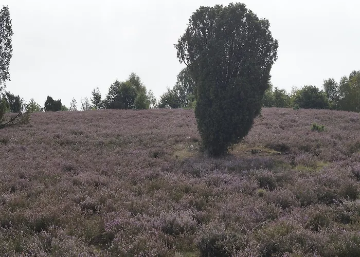 / Wahlers * Bispingen